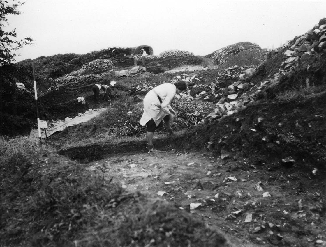 NE towards Xe 1932 XVII in progress by mammoth. XXI in mid-left