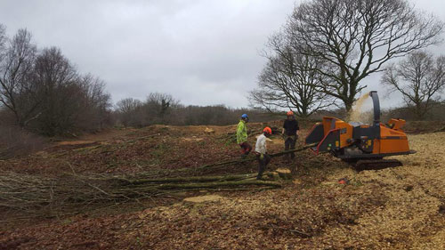 Hembury Fort HLS winter works 2015/16 by Hartwood Treeworks