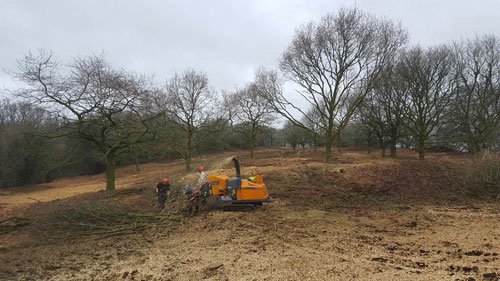 Hembury Fort HLS winter works 2015/16 by Hartwood Treeworks
