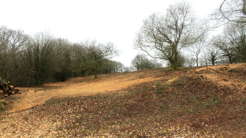 Hembury Fort HLS winter works 2015/16 by Hartwood Treeworks