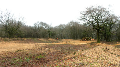 Hembury Fort HLS winter works 2015/16 by Hartwood Treeworks