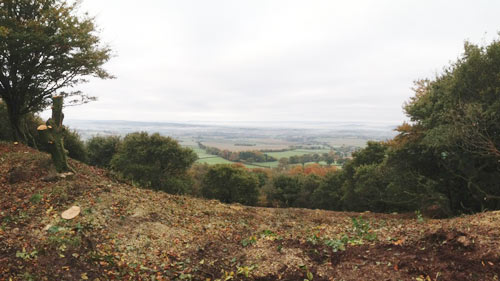 Hembury Fort HLS winter works 2016/17 by Hartwood Treeworks