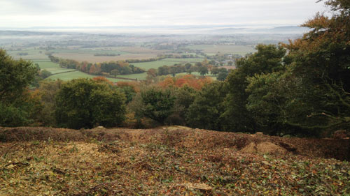 Hembury Fort HLS winter works 2016/17 by Hartwood Treeworks