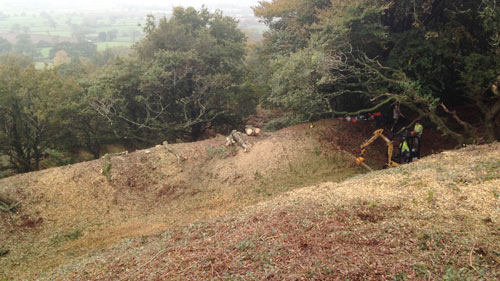 Hembury Fort HLS winter works 2016/17 by Hartwood Treeworks