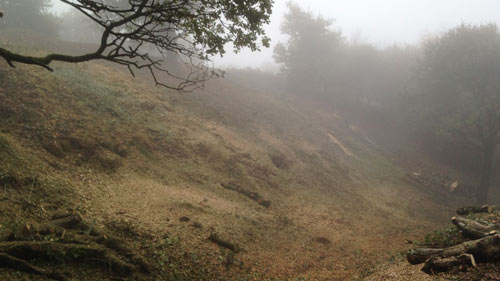 Hembury Fort HLS winter works 2016/17 by Hartwood Treeworks